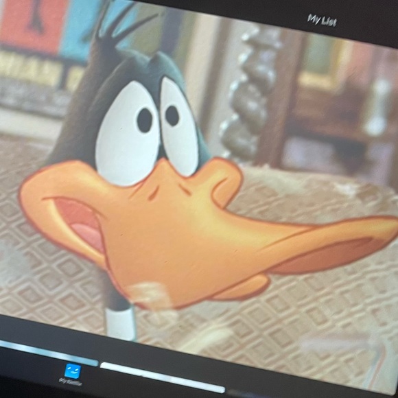 Meet your Posher, Dorothy - Picture 7 of 13